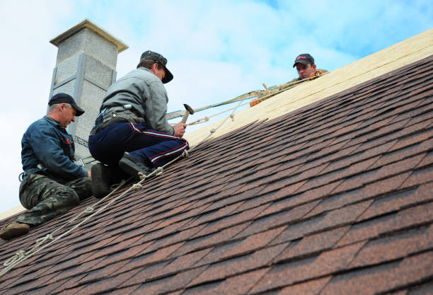 Best Roof Gutter Cleaning  in Garden View, PA